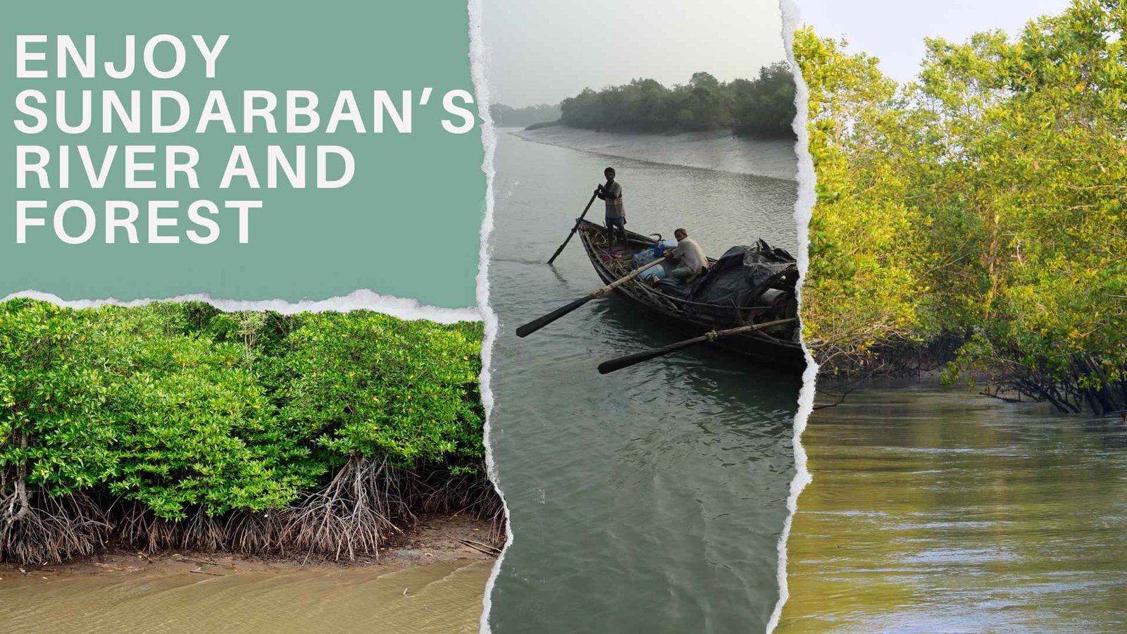 sundarban's forest and rivers with local fisherman banner