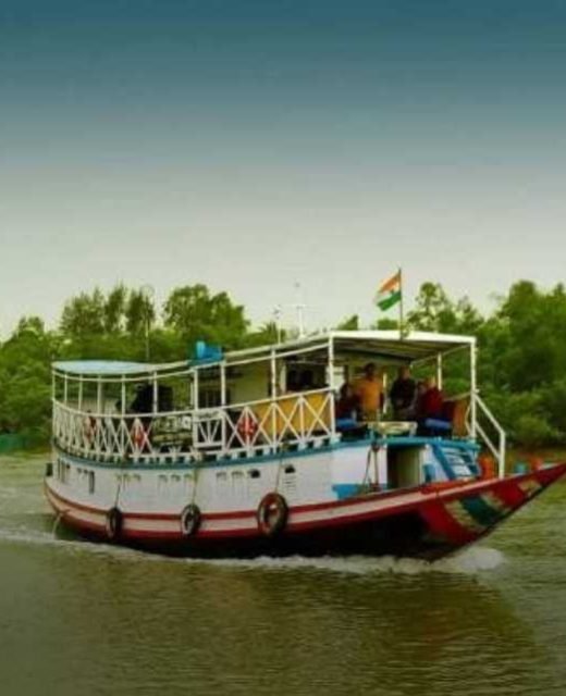 deers in sundarban (1)